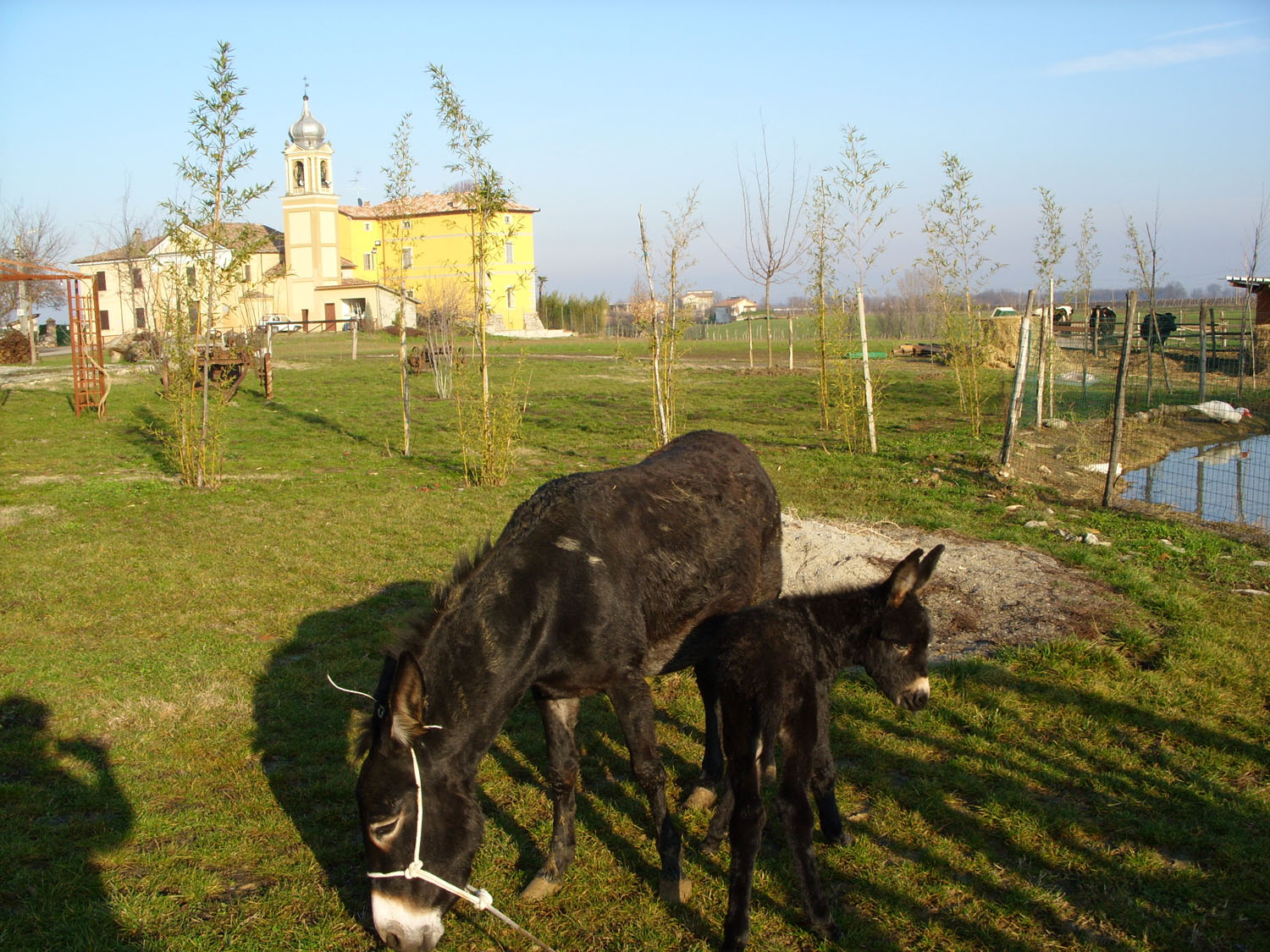 Agriturismo Il Granaio PhotoGallery
